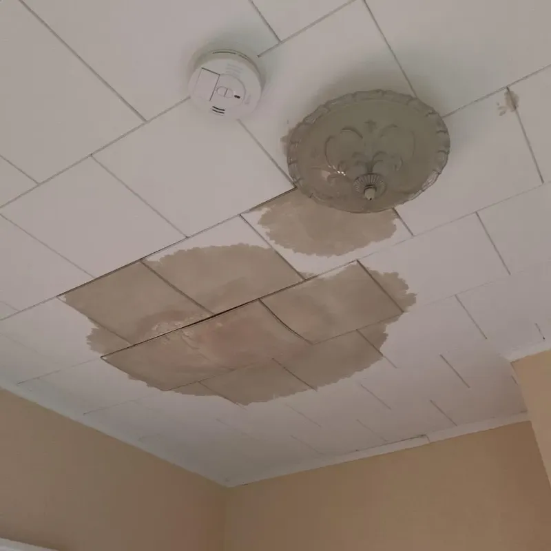 Ceiling Water Damage Repair in Pine Island, TX