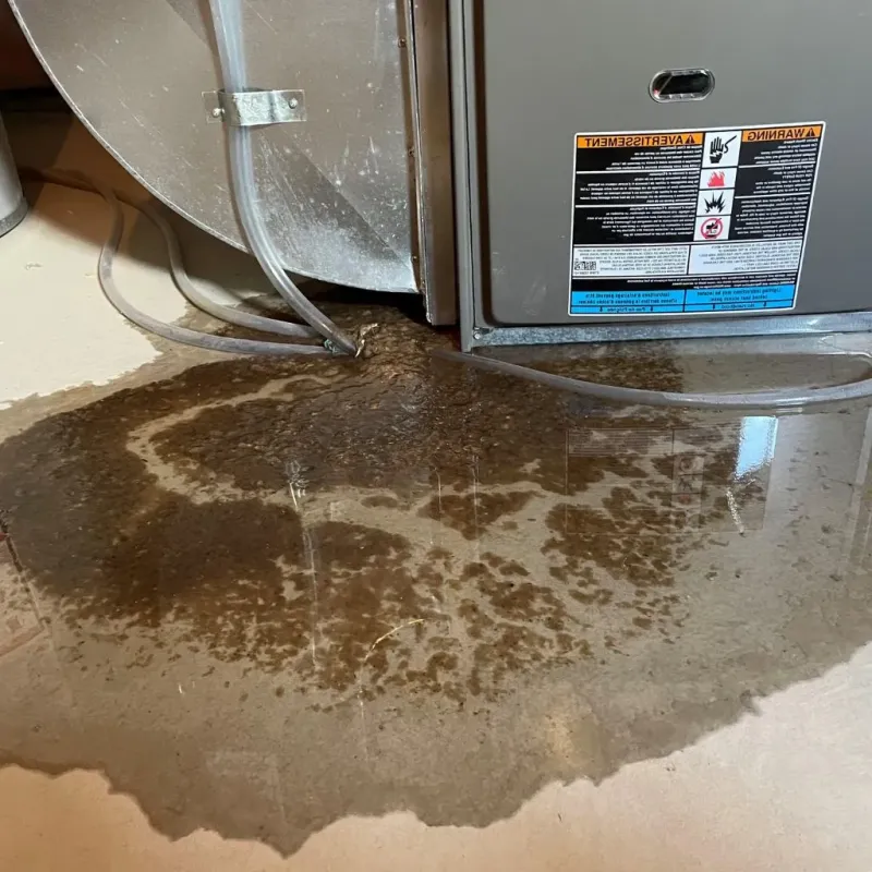 Pipe Burst and Leak Restoration in Pine Island, TX