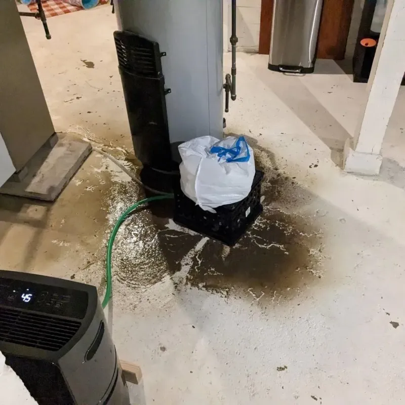 Sewage Backup Cleanup Service in Pine Island, TX